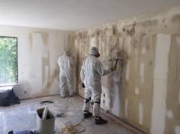 Asbestos and Lead Testing During Mold Inspection in River Falls, WI